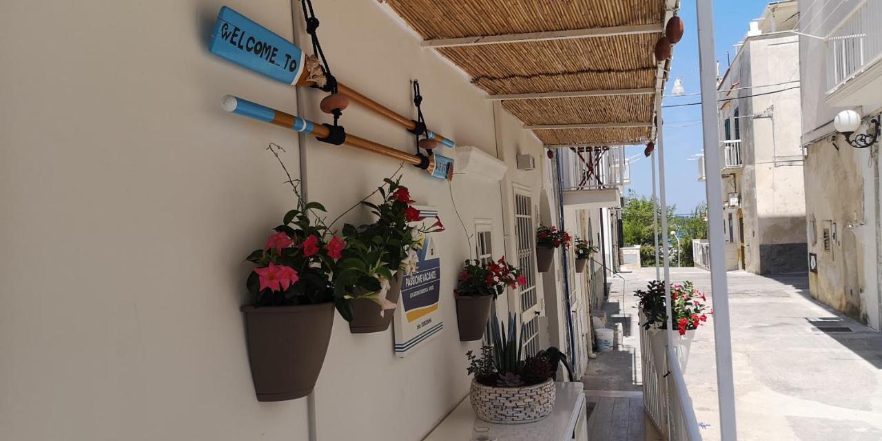 Passione Vacanze Vieste